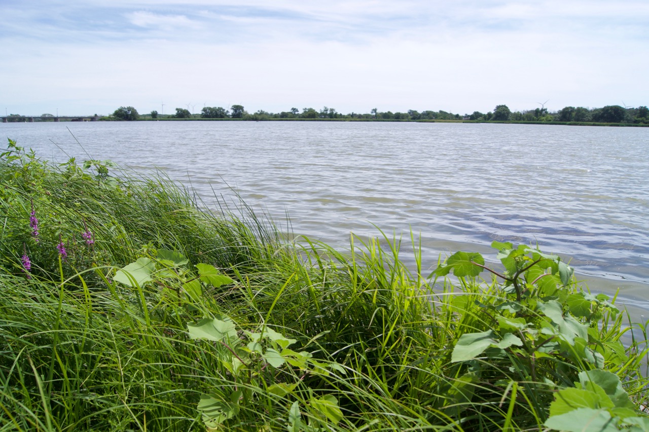 dunnville, Brantford