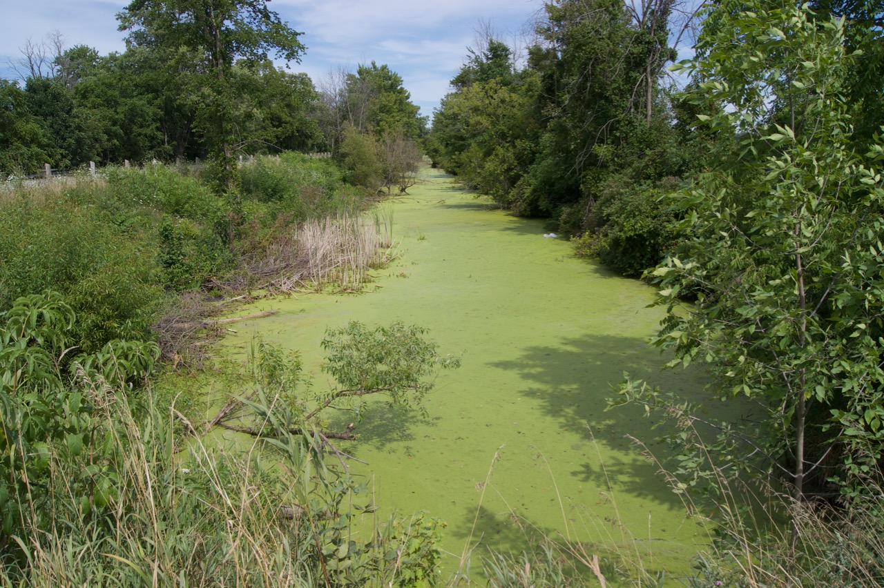 feeder-canal, Brantford